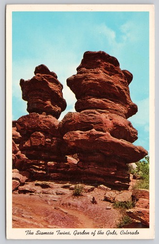 Vintage siamese twins - twins, garden